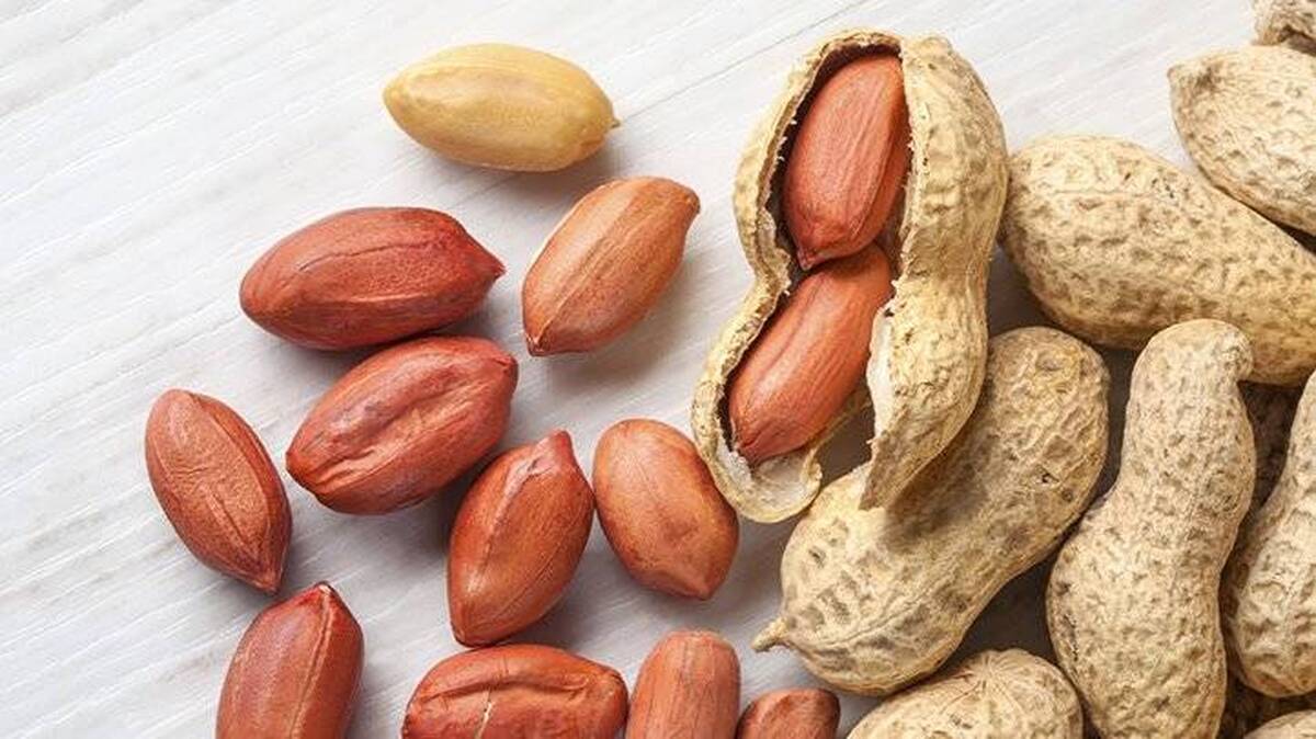 خوردن بادام زمینی خطر مرگ دارد؟! | عوارض بادام زمینی و درمان